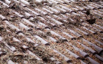 Oldbury roof cleaning companies