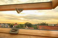 rated Oldbury roof window companies